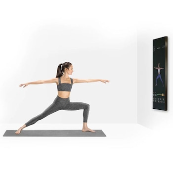 ecomm: Christina Milian Gift Picks Products, Mirror